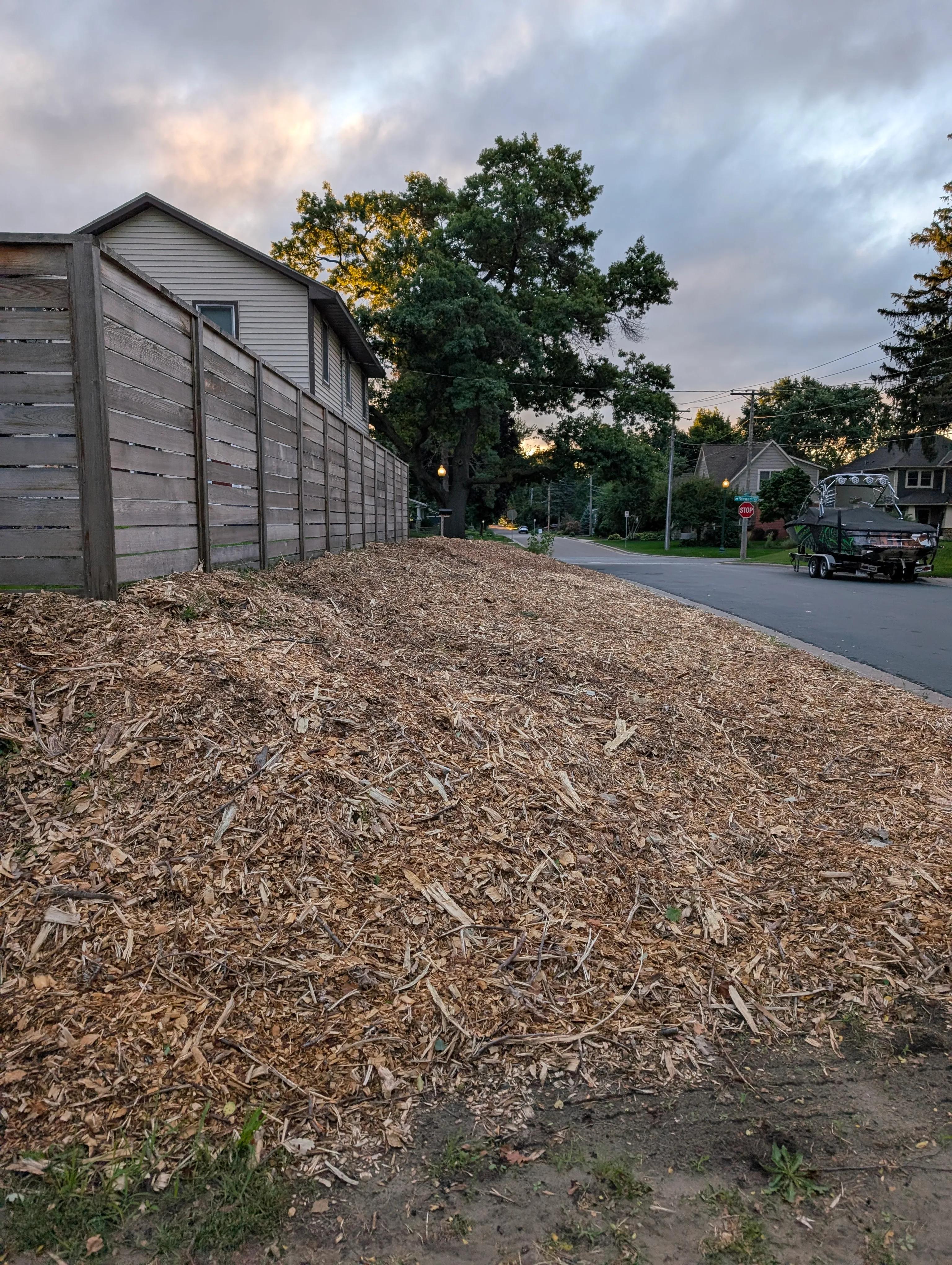 Photo of sideyard covered in wood chips